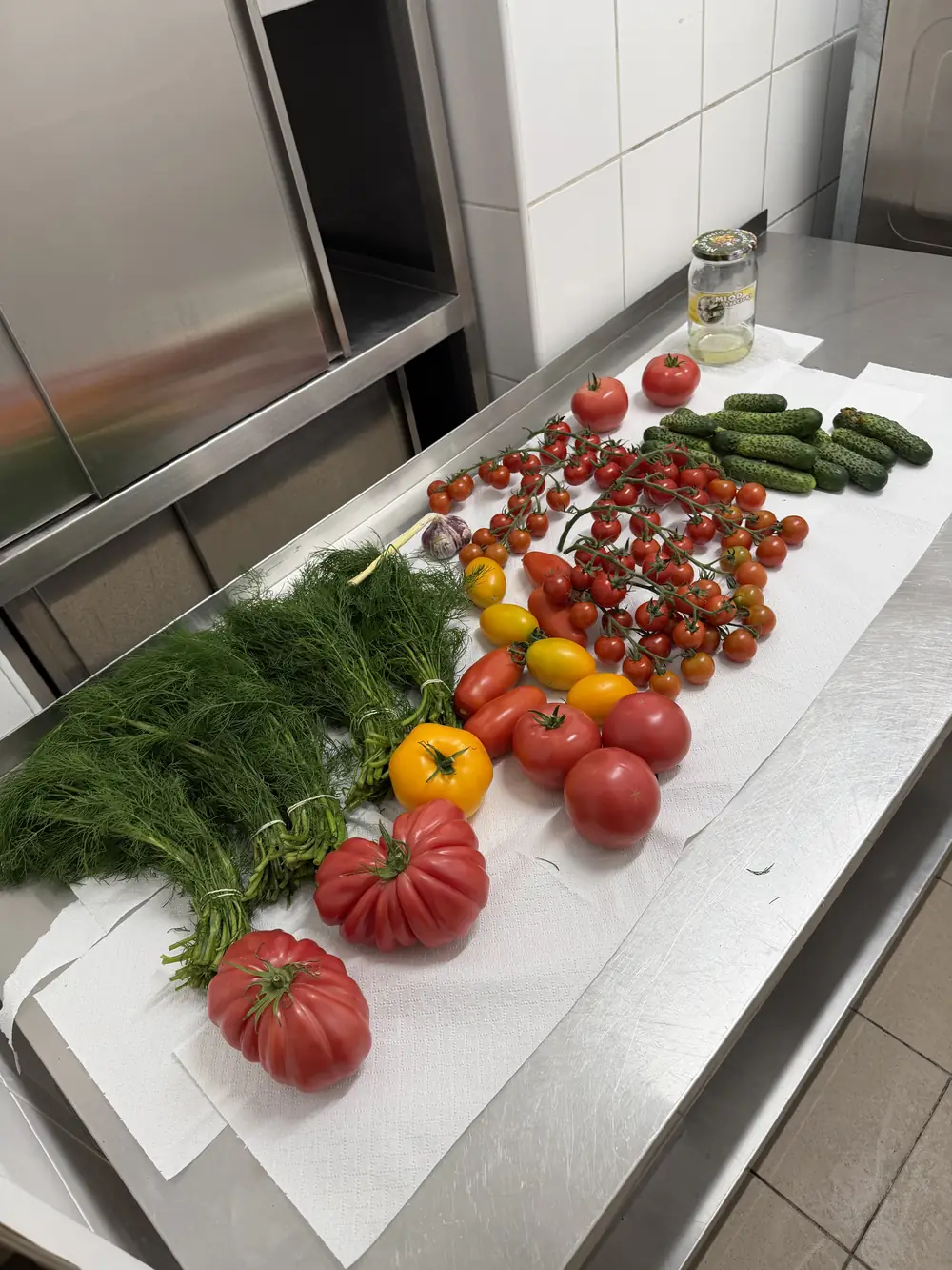 Pomidory, ogórki i koper na blacie przygotowawczym